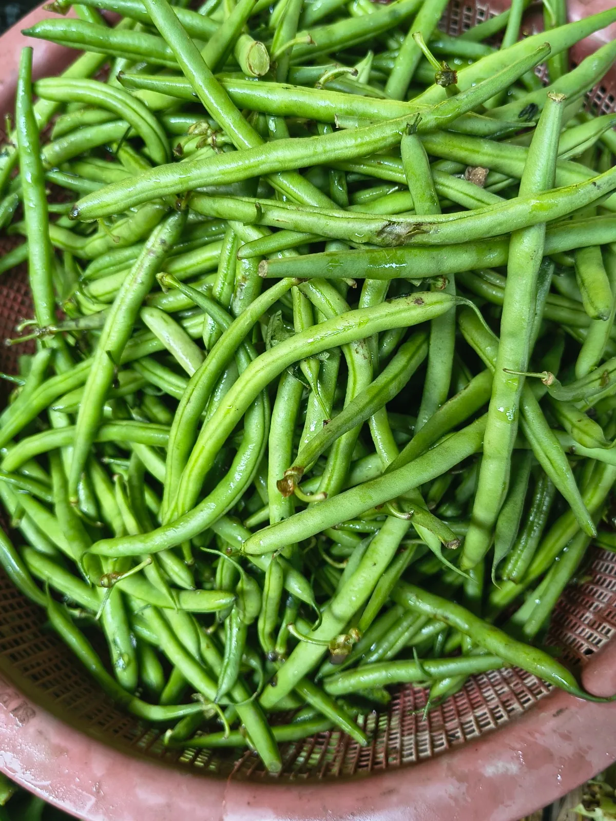 Fresh Green Beans