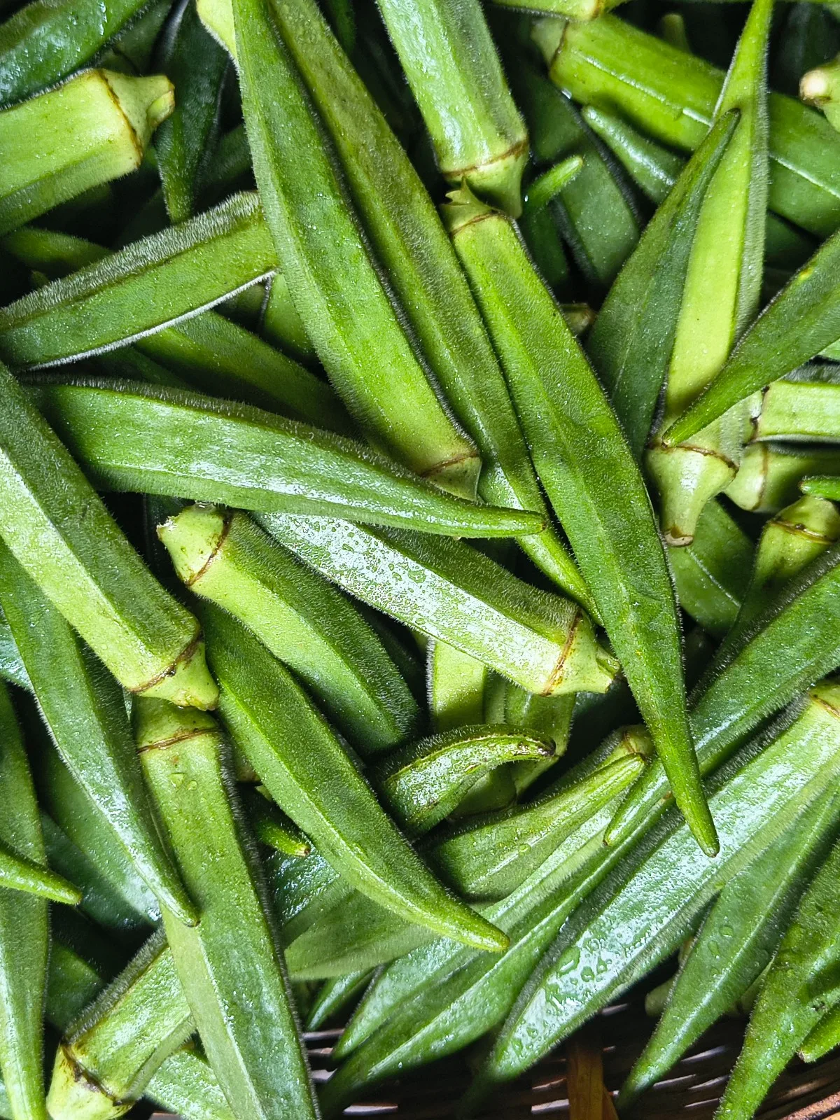 Green Okra (Lady Finger)