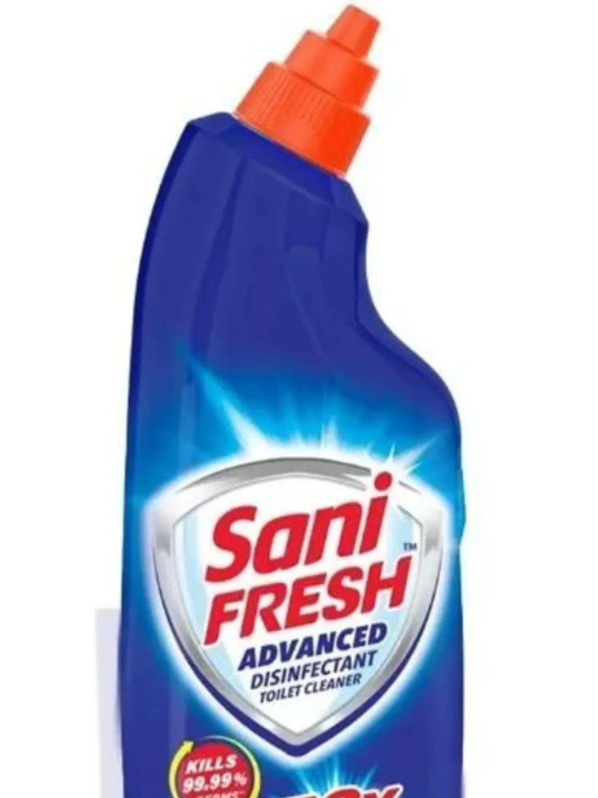Saini Fresh