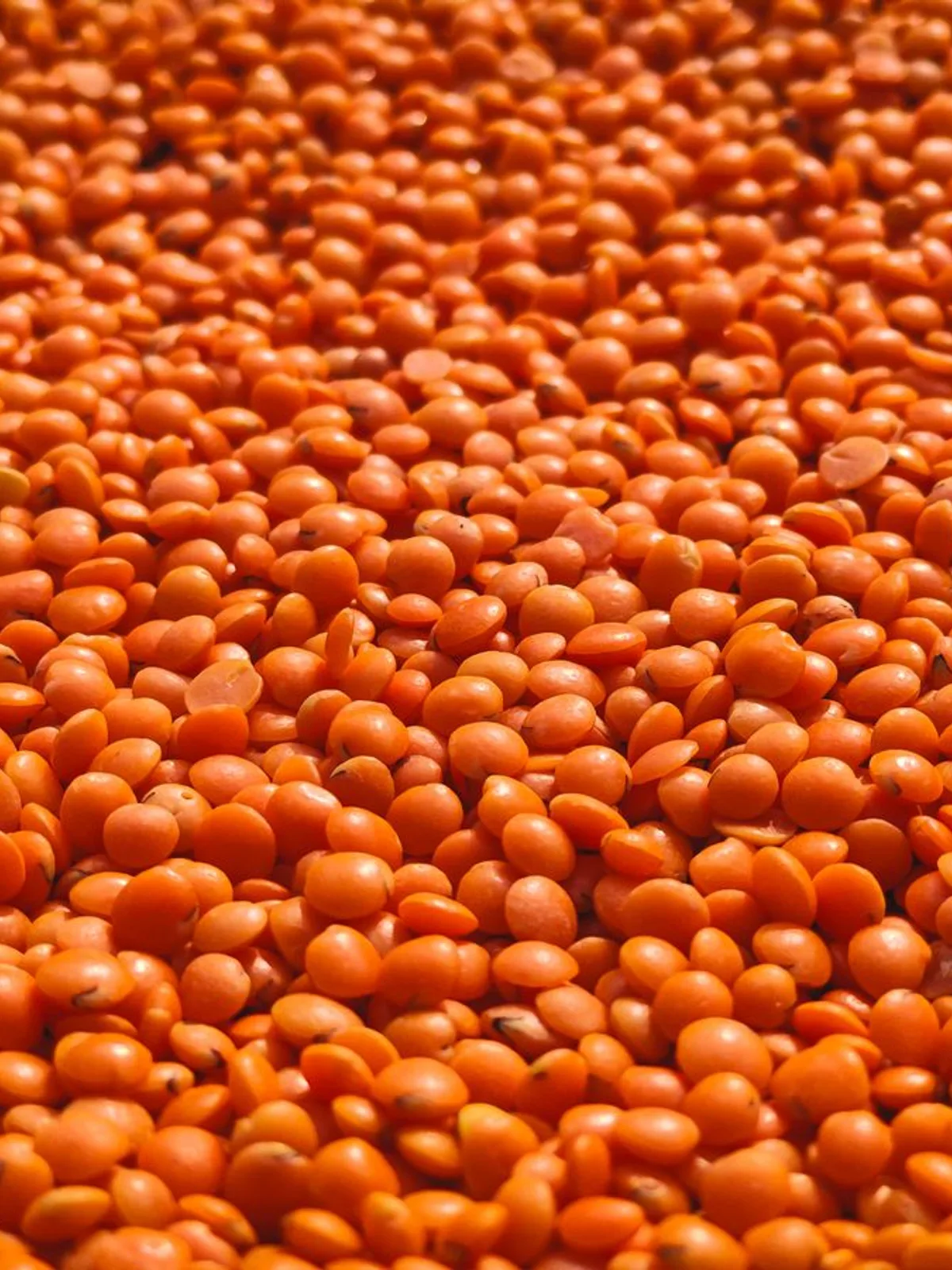 Arhar Dal (Toor) 1kg