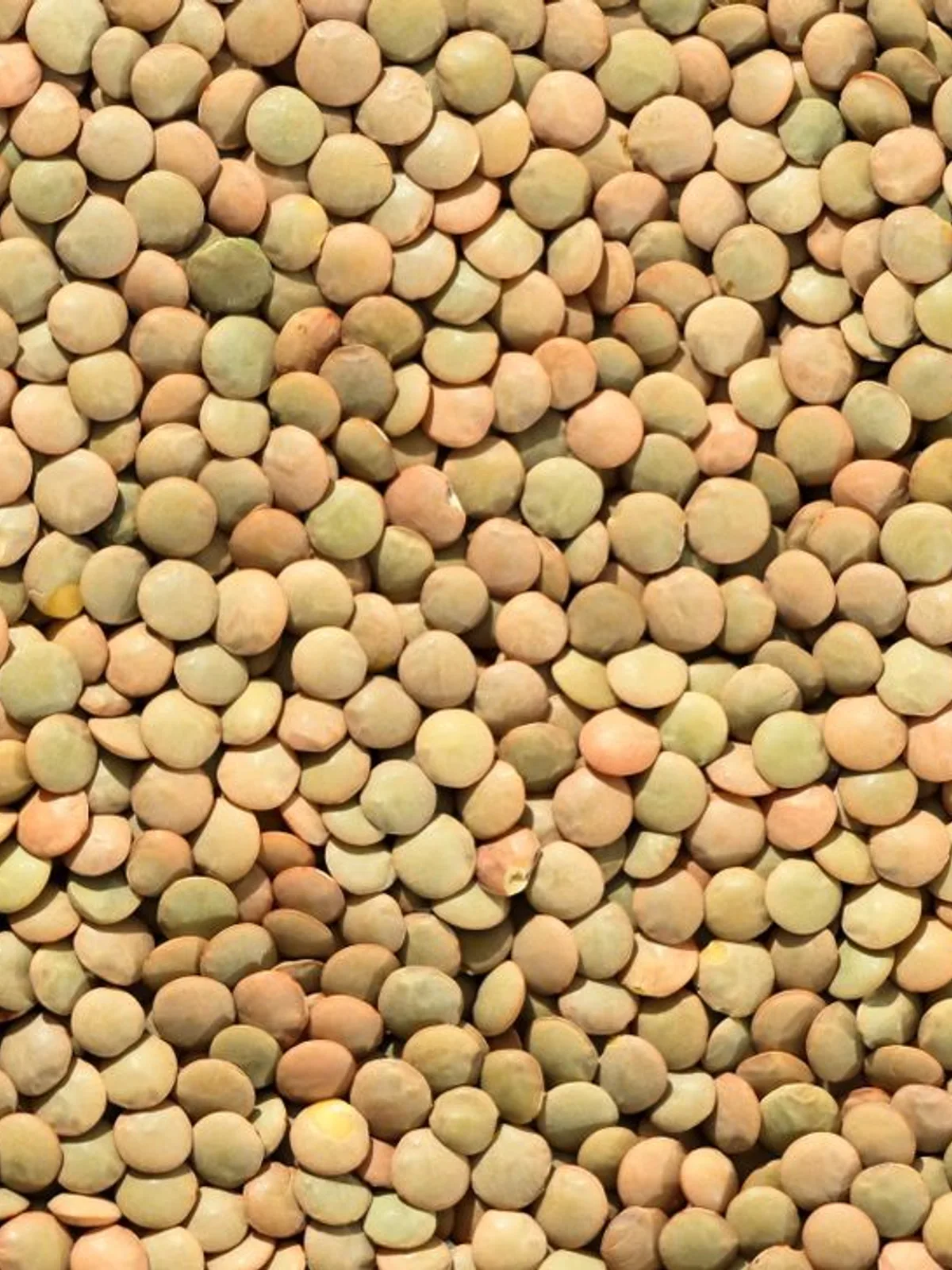 Masoor Dal 1kg