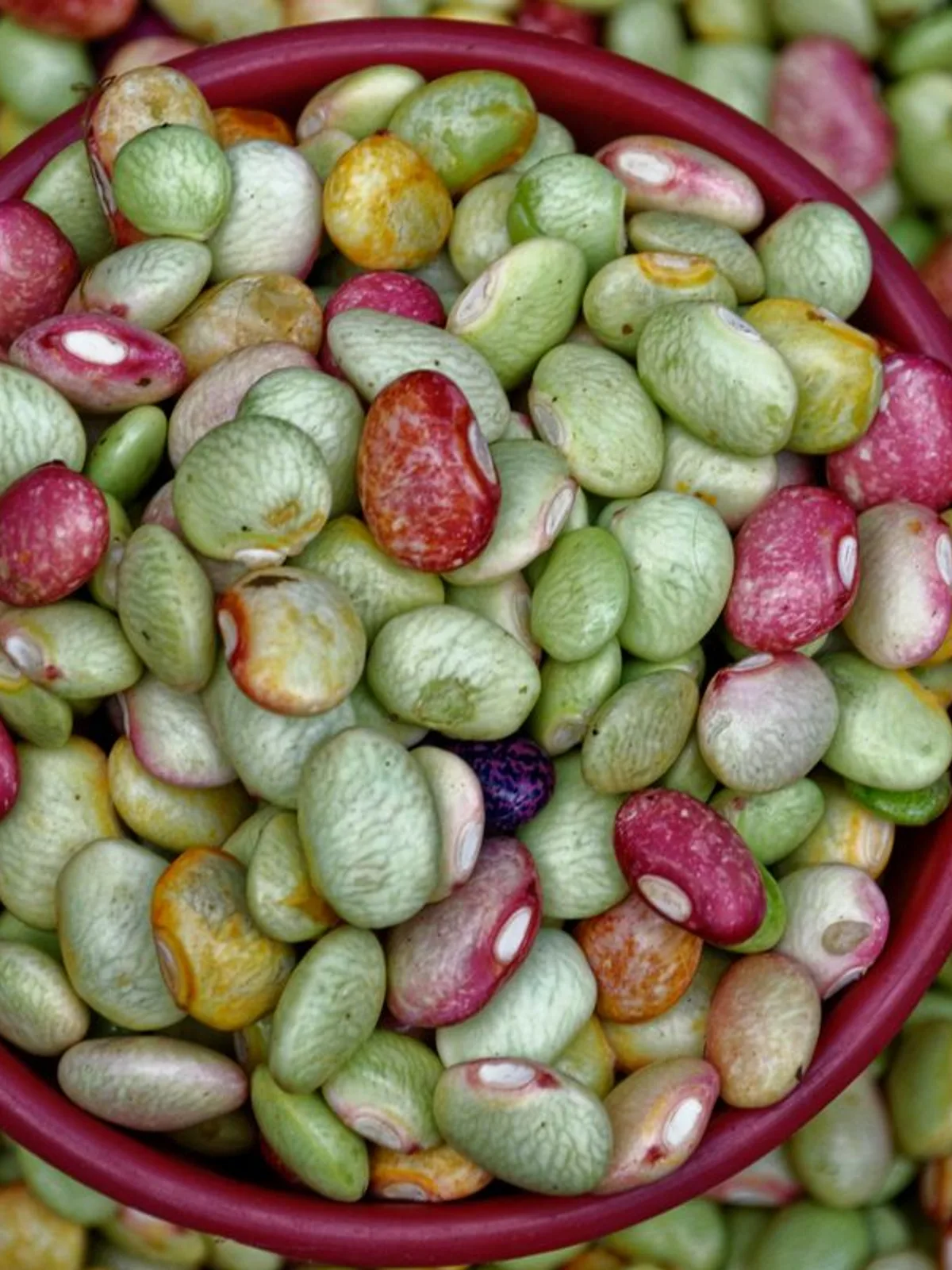 Rajma 1kg