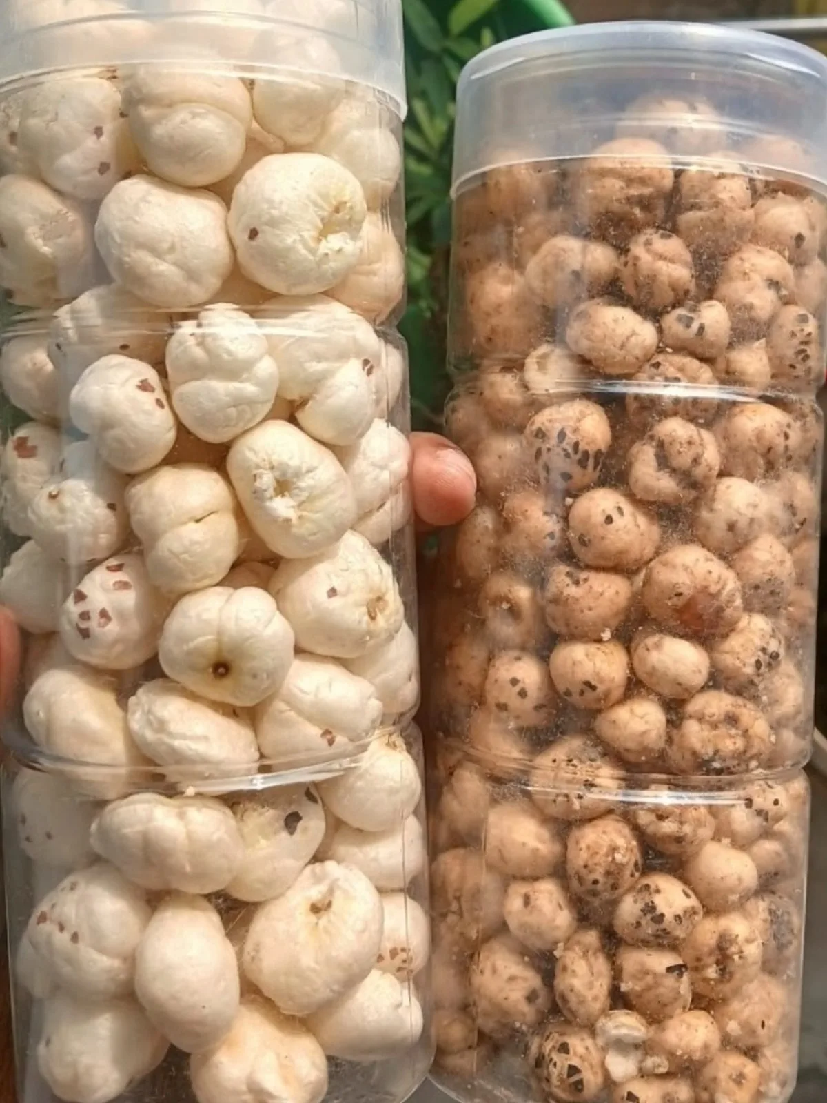 Dhara india makhana